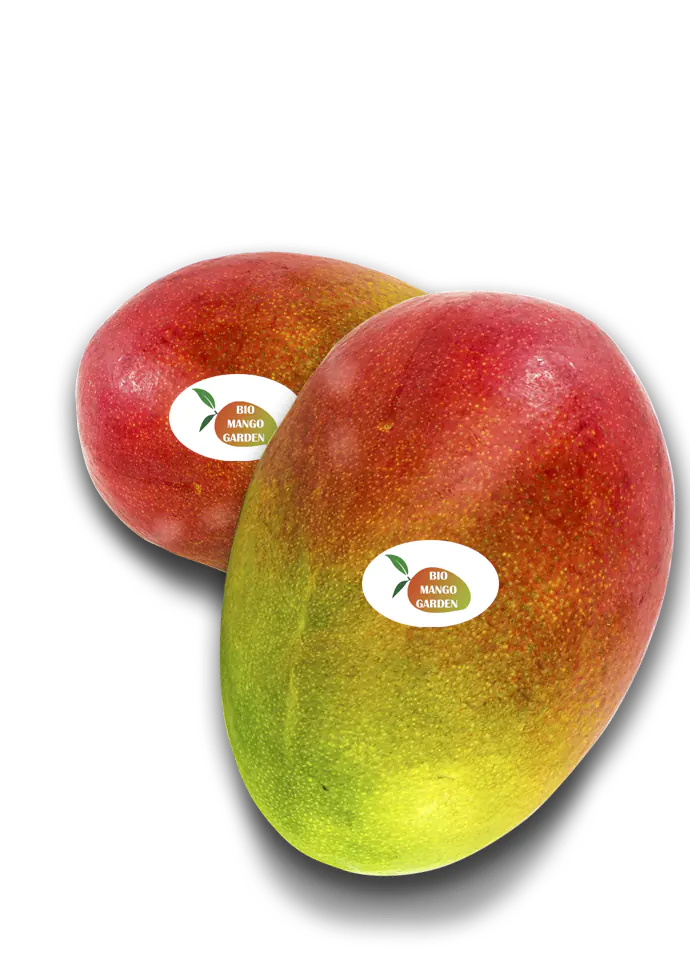 propiedades y beneficios del mango ecologico biologico